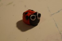 Coccinelle